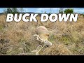 BUCK DOWN | DAY 1 Maine Rifle