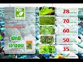 ราคาผักประจำวันที่ 1 ธันวาคม 2565