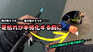 【ヒラメ釣行】夏枯れするその前に・・・