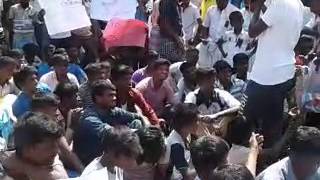 jallikattu poratam at neikkarapatti palani part #6