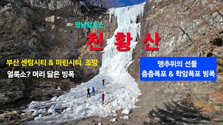 영남알프스 천황산(#필봉, #상투봉, #천황산사자봉, #사자바위, #천황재, #진불암, #돈릿지, #층층폭포, #학암폭포, #빙폭, #얼룩소 머리? 빙폭)