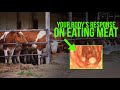 (Warning!) After Watching This, You May Stop Eating Meat