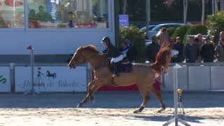 Vídeo del triunfo de Emilio García-Torres en el CSN3* de Toledo 18-02-2018