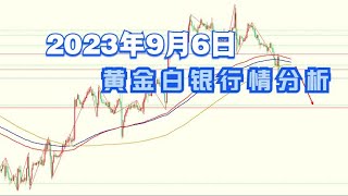 2023年9月6日黄金白银行情分析