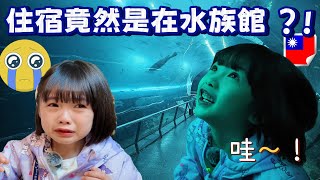 水族館過夜會發生什麼事 ?! 在屏東海生館的一晚 🌙🐠 / 수족관에서 자면 생기는 일 ?! 핑둥 해양 생물 박물관에서 하룻밤 🌙🐠