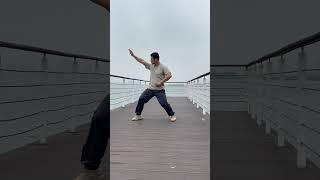 Tai Chi Silk Wrapping Technique, moves the universe and the great way is invisible太极缠丝功，搬运乾坤，大道无形