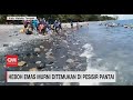 Heboh Emas Murni Ditemukan di Pesisir Pantai