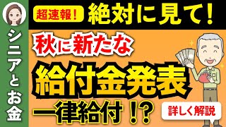 【超速報】年金世帯や低所得者世帯に新たな給付金！？金額や申請方法を完全解説【2024年秋】