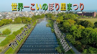 ドローン空撮【世界一こいのぼり里まつり】群馬県館林市