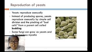 Lecture 3.1 Fungi