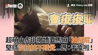 超萌小虎斑撒嬌要馬麻「拍屁屁」堅持沒拍拍不睡覺...媽：手痠啦！│寵物│貓咪｜猫｜ねこ│Pet│Cat│Kitten