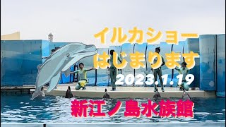 新江ノ島水族館　えのすい　イルカショー　WAVE  イルカ2023.1.19 13:30 MC 秋山トリーターさん