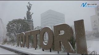 鳥取県内、夕方から雪が強まる恐れ　最強寒波到来　日本海新聞