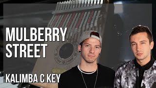 How to play Mulberry Street by Twenty One Pilots on Kalimba (Tutorial)