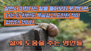 살면서 미쳤다는 말을 들어보지 못했다면 너는 단 한 번도 묵숨 걸고 도전한 적이  없었던 것이다. 나를 일깨우는 짧은 명언 모음