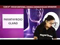 class 11 biology chapter 22 parathyroid gland hormones and diseases neet cbse