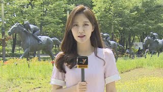 [날씨] 땡볕에 전국 30도 안팎…당분간 더위 기승 / 연합뉴스TV (YonhapnewsTV)