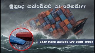 කන්ටේනර් පෙට්ටි මුහුදට වැටුනොත් මොකද වෙන්නනේ 🤔❓What will happen if the container boxes fall to sea