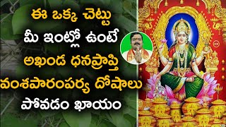 అఖండ ధనప్రాప్తిని కలిగించే అద్భుత దానం | Financial Remedies by Machiraju Kiran Kumar