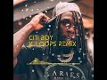 Burnaboy_City Boy (K_LooPs Remix)