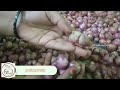 வெங்காயம் பல மாதங்கள் கெடாமல் இருக்க super tips how to store onion for long time@freshsamayal