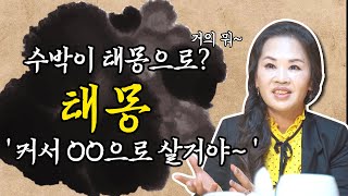 태몽이 아이에게 주는 영향도 🛌💭 사주팔자와 태몽은 맞물린다?