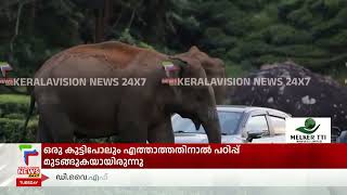 മൂന്നാറില്‍ കാര്‍ വളഞ്ഞ് കാട്ടാനകള്‍ | Wild Elephant | Munnar