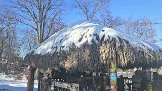 Global warming at a tiki bar?🤷‍♂️