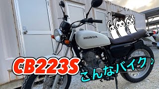 【CB223S/沖縄】見るたびに好きになる