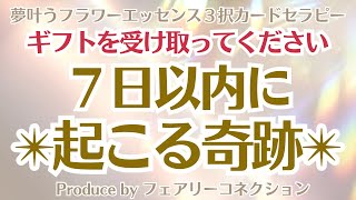 【パラレル移動】✨７日以内に起こる奇跡✨ 《夢叶うフラワーエッセンス３択カードセラピー》⁡