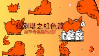 貓別塔紅1~4樓遊玩紀錄 神奇蟲蟲出沒! ’貓咪大戰爭31`