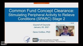 NIH Common Fund's Stimulating Peripheral Activity to Relieve Conditions (SPARC) Stage 2 Concept