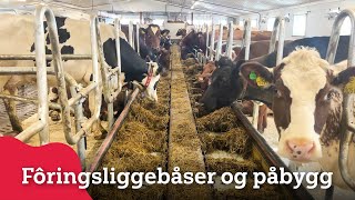 Fôringsliggebåser og påbygg hos Lisjordet gard