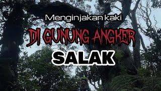 GUNUNG SALAK VIA CIDAHU TREK AMPUN AMPUNAN BIKIN KAPOK #gunungsalak  #cidahu #gunungangker