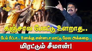 கஞ்சாவ போட்டு உளறாத.. டேய் பீட்டா.. உனக்கு என்னடா மாட்டு மேல அக்கறை.. மிரட்டும் சீமான்!