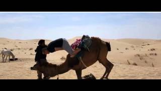 This is not pretty - Man has fall from camel