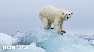 Climate change: The place on Earth heating fastest - BBC News