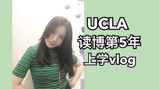 【留学VLOG】美国带娃读博｜凌晨学习地震了但是兔子荷兰猪竟然毫无反应