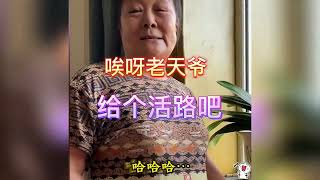 盘点东北大娘的语言艺术,这比脱口秀还精彩,句句让出乎意料