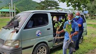 เกษตรเพชรบุรีมอบต้นพันธุ์ขนุนให้แก่กลุ่มแม่บ้านเกษตรกรเขาแหลม ตำบลป่าเด็ง อำเภอแก่งกระจาน