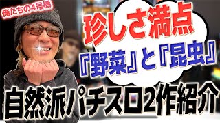 【珍しさ満点】独創的リーチ目と高技術介入が魅力の自然派パチスロ！パイオニア『ベジタンV』\u0026『ブンブンブン』打ち方\u0026解説