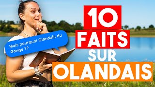 10 FAITS SUR MON CHEVAL que je ne vous ai jamais dit !