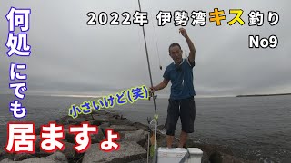 2022伊勢湾キス釣り第9回戦