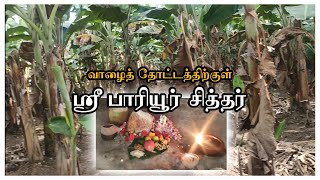 Siddhargal Thiruvadi | Epi.1284 | Paariyur Siddhar | Miracle Siddhar Samadhi | Gopichettipalayam