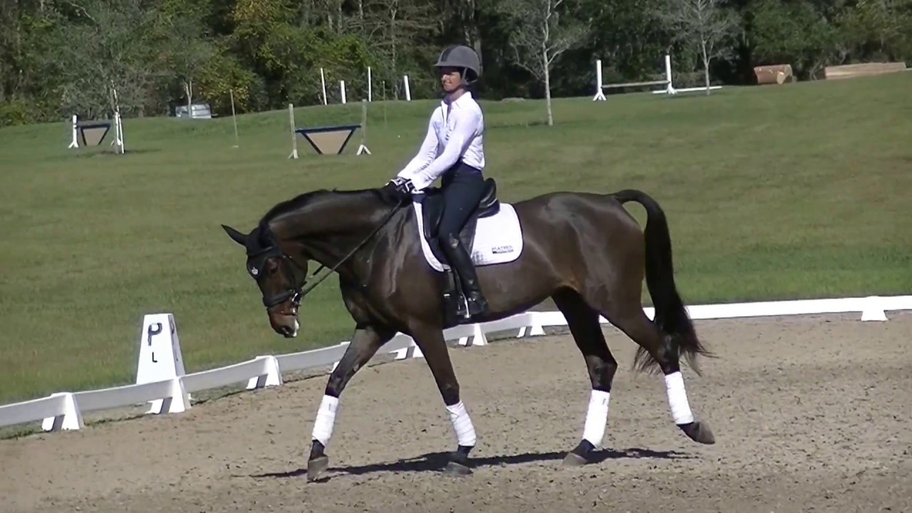 Advanced Dressage Test B (2018) - YouTube