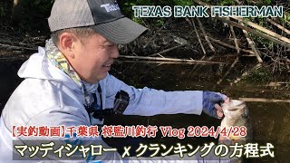 【実釣動画】千葉県 将監川釣行 Vlog 2024/4/28マッディシャロー ✗ クランキングの方程式