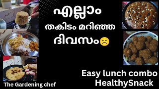 എത്ര കണക്കു കൂട്ടിയാലും വരുന്നതു പോലെ വരൂ|The gardening chef| lunch combo|healthy snack|plumcake|