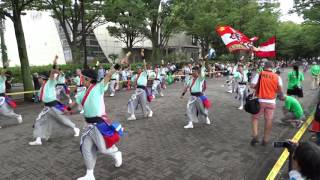 Summer Zipper／NHK前ストリート／原宿表参道元氣祭スーパーよさこい2016