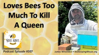 Beekeeping In Warblington, Severe Honey Bee Losses, Wild \u0026 Crazy Beekeeping Stories