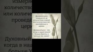 ДУХОВНЫЙ РОСТ - ЭТО КОГДА В НАШЕЙ ЖИЗНИ БОЛЬШЕ ХРИСТА , И МЕНЬШЕ НАС САМЫХ !!! - 25.01.2025